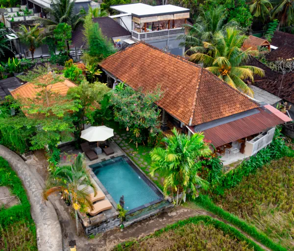 aerial view 1