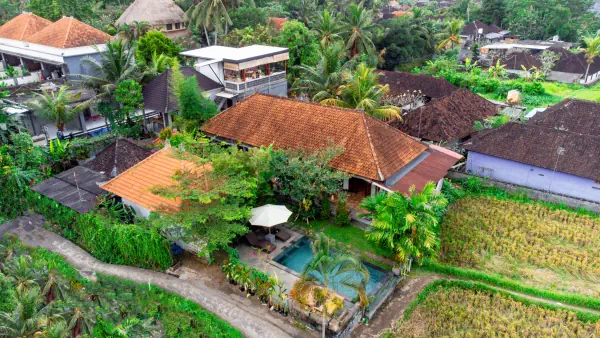 aerial view 3
