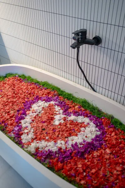 flower bath 2