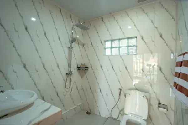 toilet 1