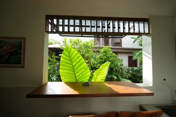 balcon 21