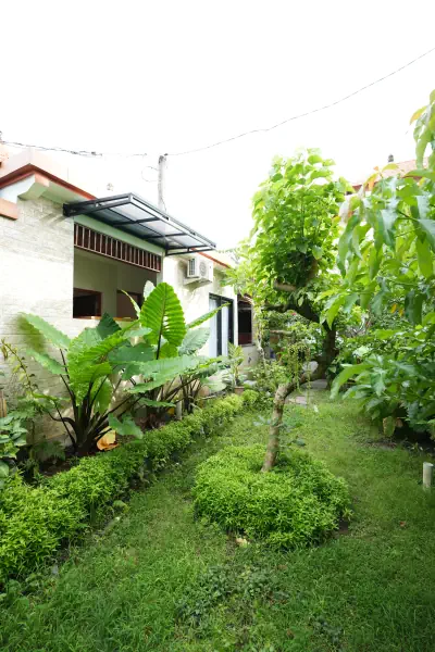 garden outdoor 08