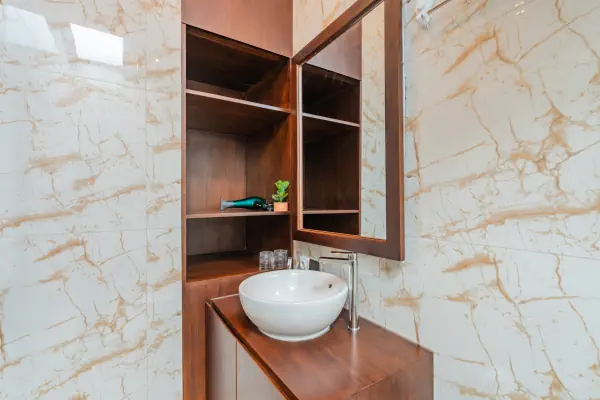 toilet 2