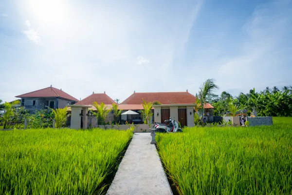 paddy view 01
