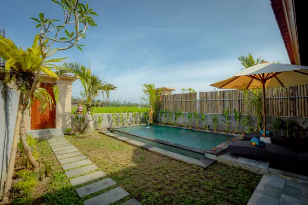 swimming pool 3