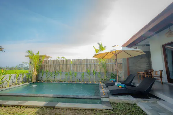 swimming pool 4