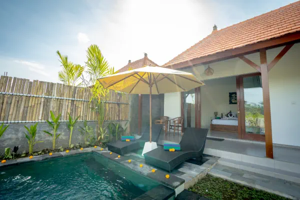 swimming pool 5