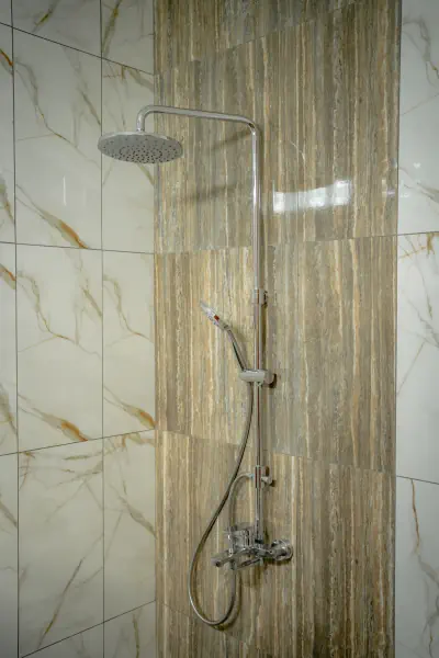 toilet 1