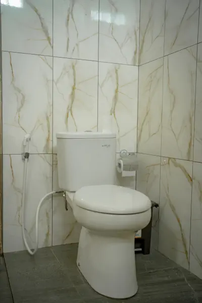 toilet 2