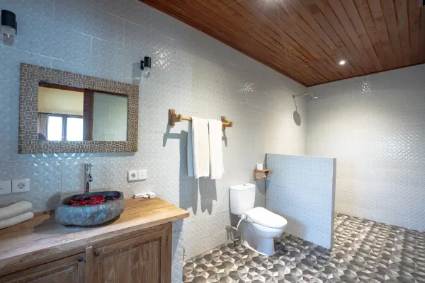 toilet 1