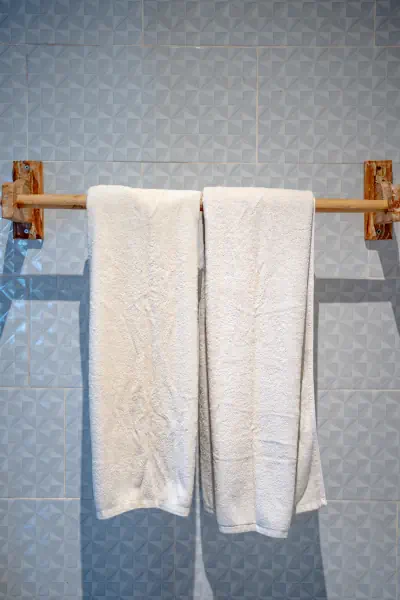 toilet 3