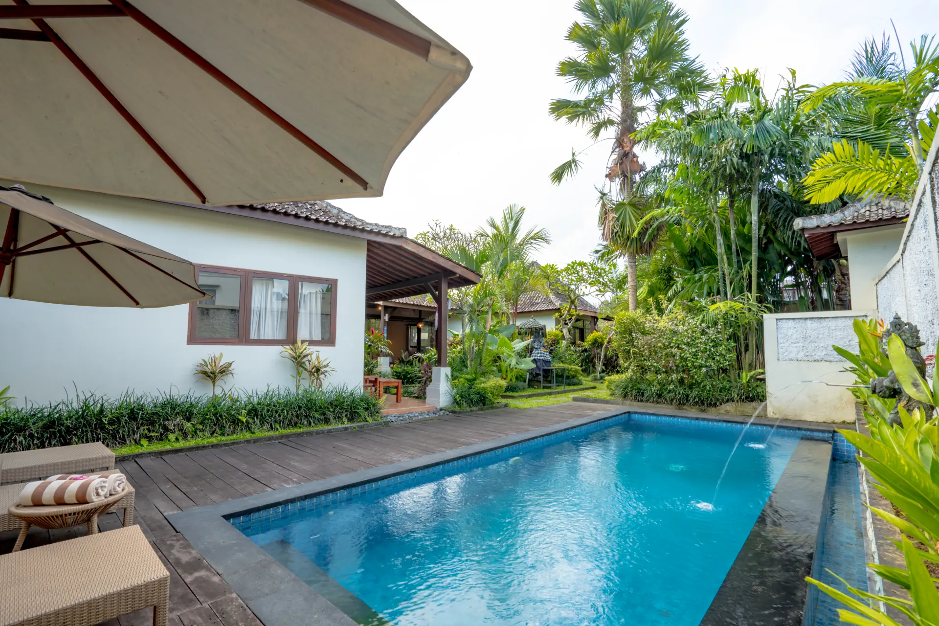 swimmingpool 3